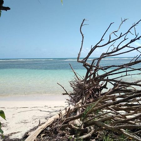 Logement Azul Le Gosier  Buitenkant foto