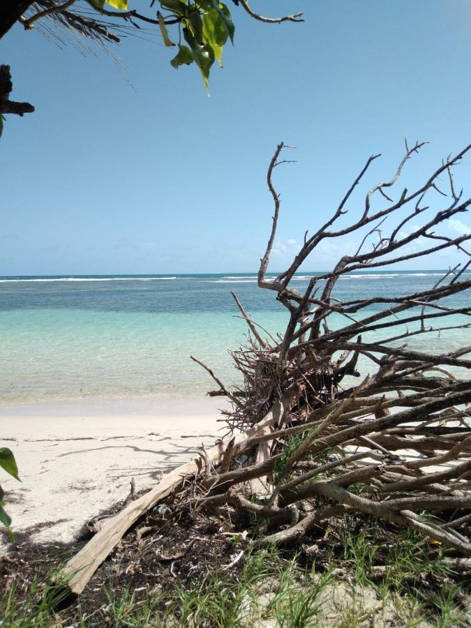 Logement Azul Le Gosier  Buitenkant foto